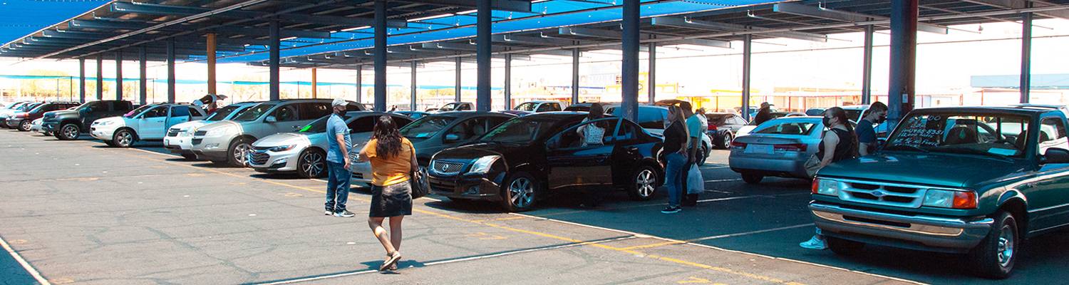 People looking at cars