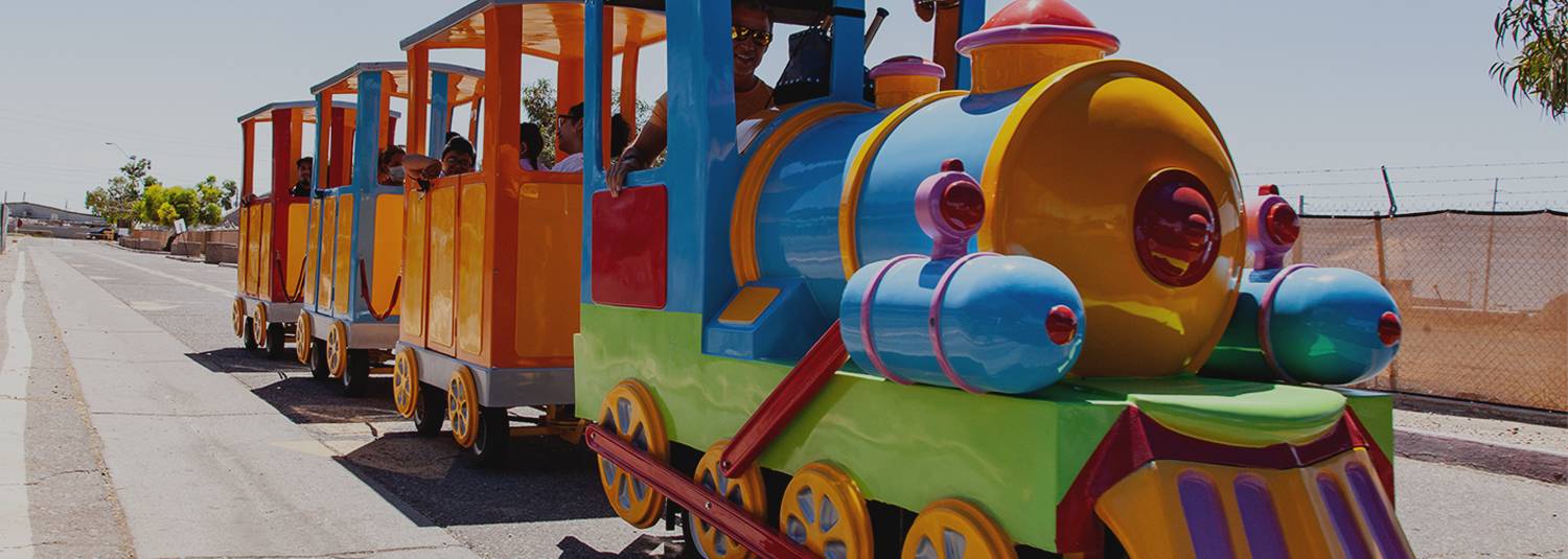 Kids Train | Family Fun at Phoenix Park 'n Swap